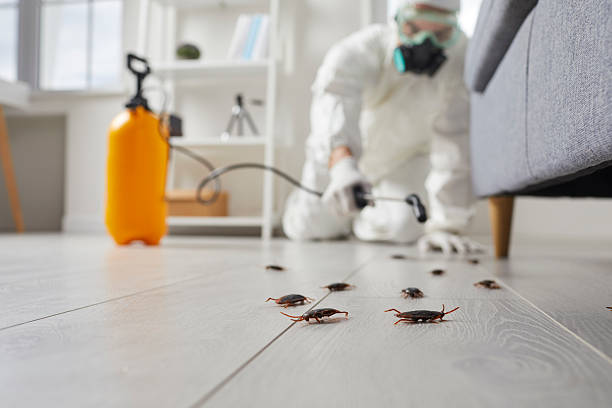 Post-Treatment Bed Bug Interceptor Monitoring in Cleveland