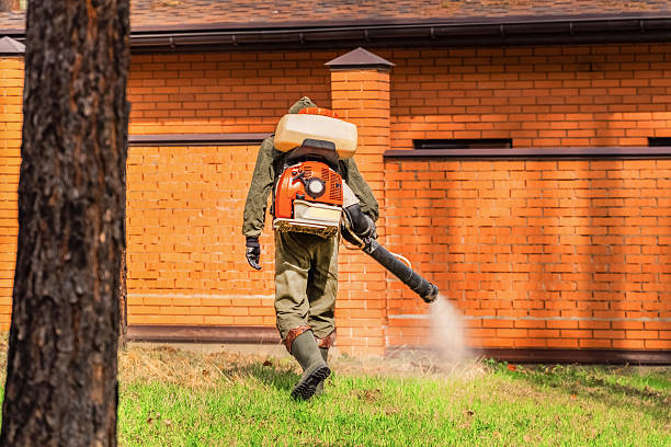 Bed Bug Clearance Verification and Documentation in Cleveland